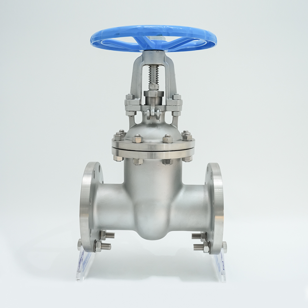 Valvola a saracinesca flangiata in acciaio inossidabile Z41W-16P