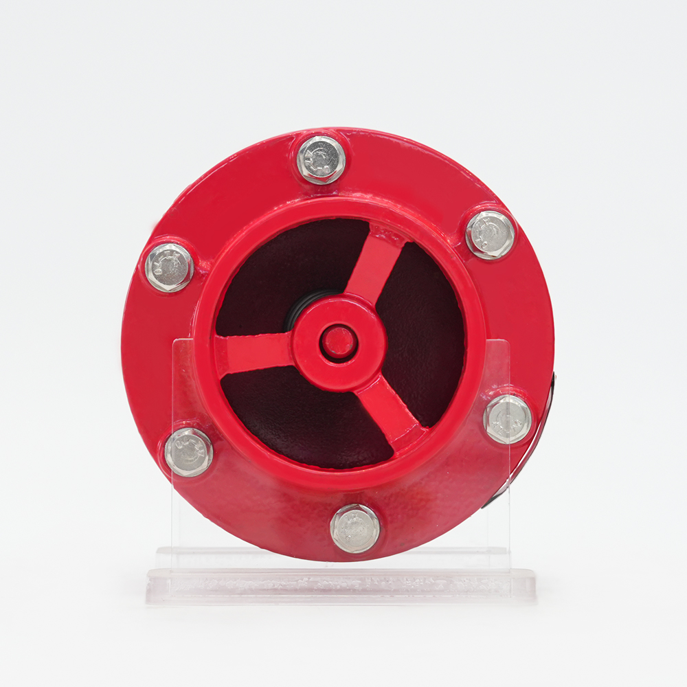 Valvola di ritegno silenziatore scanalata GHC41X-16Q