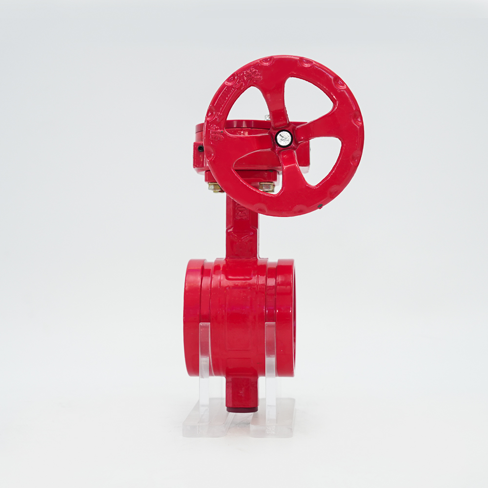 Valvola a farfalla con scanalatura a turbina D381X-16Q