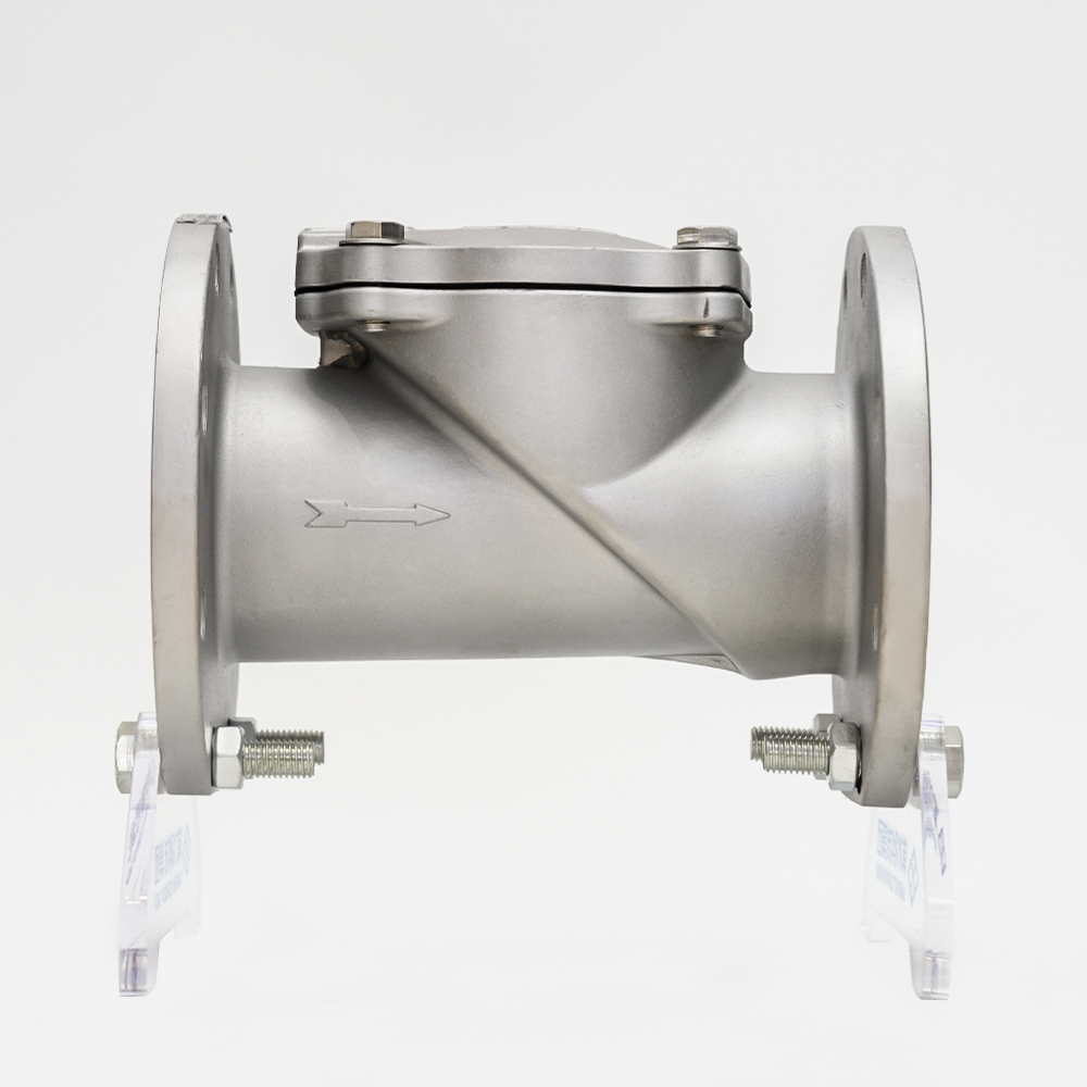Valvola di ritegno a disco in gomma in acciaio inossidabile H44X-16P