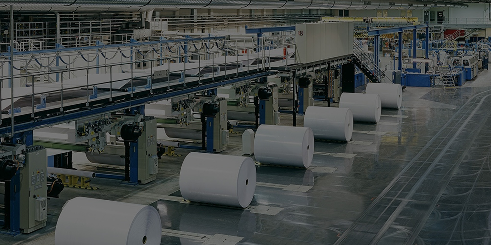 Fabbricazione della carta